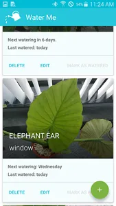 Water me! screenshot 4