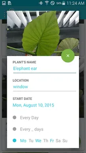 Water me! screenshot 5