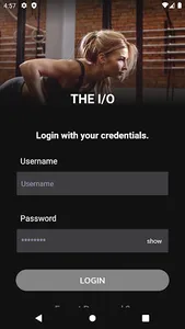 THE I/O screenshot 0