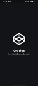 CodePen: Pens & Source Codes screenshot 0