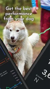 QPaws screenshot 7