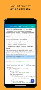 Flutter Offline Cookbook screenshot 1