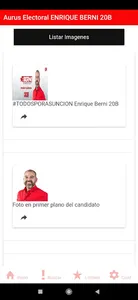 Aurus Electoral screenshot 2