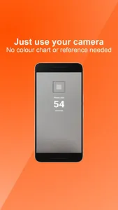 StripCheck screenshot 4