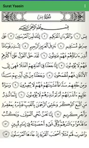 Yaasin Dan Tahlil Lengkap screenshot 1