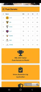 OBL Orions Basketbol Ligi screenshot 3
