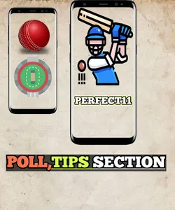 Perfect11,cricket predictions screenshot 4