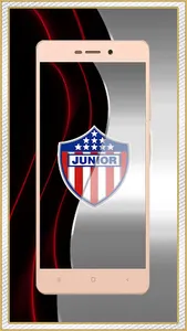 JUNIOR OF BARRANQUILLA PASSION screenshot 6