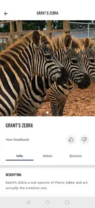 Jimmy's Farm & Wildlife Park screenshot 3