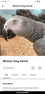 Northumberland Zoo screenshot 4