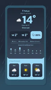 Rainy Today screenshot 2