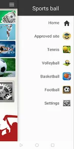 Sports ball screenshot 0