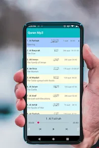 Al Quran MP3 Full Offline 30 J screenshot 1