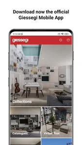 Giessegi screenshot 0