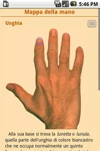 Lettura della mano screenshot 3