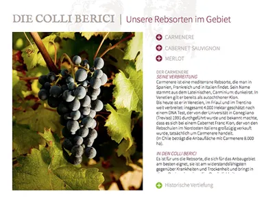 Inama Azienda Agricola (DE) screenshot 2
