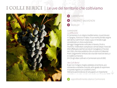 Inama Azienda Agricola screenshot 5