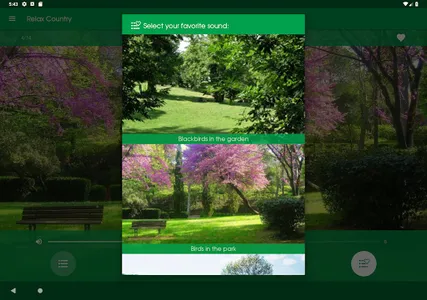 Relax Country: sleeping sounds screenshot 12