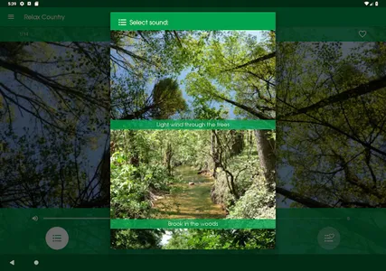 Relax Country: sleeping sounds screenshot 8