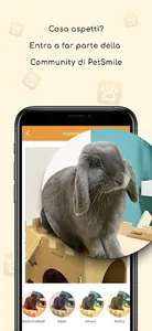 PetSmile screenshot 3