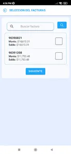 Desglose de pagos Serva screenshot 3