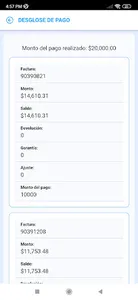 Desglose de pagos Serva screenshot 4