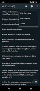 Biblia - Multilenguaje screenshot 6