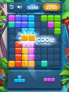 Block Puzzle Infinite screenshot 12