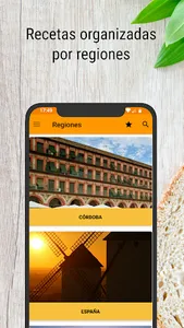 Cocina Tradicional PRO (receta screenshot 4