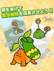 食虫植物物語 screenshot 3