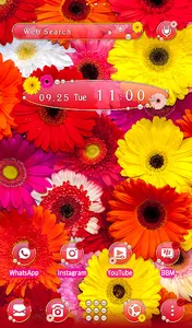 Colorful Gerbera Flowers Theme screenshot 4
