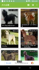 犬 - クイズ screenshot 1
