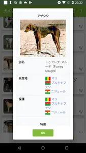 犬 - クイズ screenshot 2