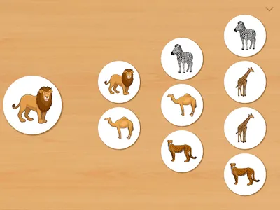 Animal Card Matching screenshot 13