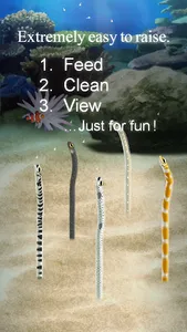 Garden Eel Pet screenshot 1