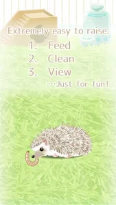 Hedgehog Pet screenshot 1