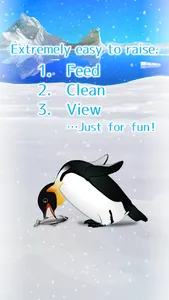 Penguin Pet screenshot 1