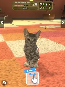 with My CAT screenshot 22