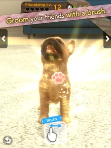 with My DOG screenshot 10