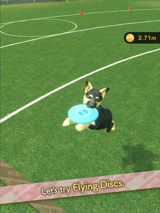 with My DOG screenshot 19