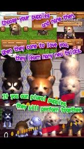 Animal Dance puppies screenshot 3