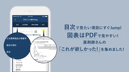 ヤクチエ添付文書 screenshot 3