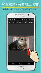 いつもの報告 screenshot 2