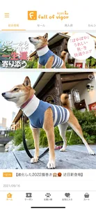 犬猫の服 フルオブビガー screenshot 1