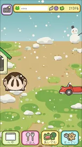 frog every day screenshot 3