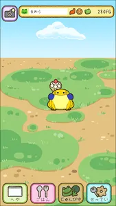frog every day screenshot 6
