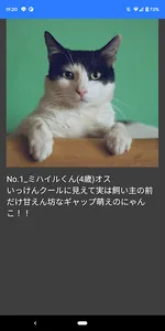 Psyなび for 文化祭&お祭り screenshot 7