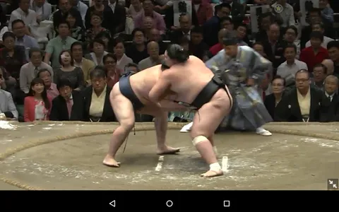 Grand Sumo screenshot 10
