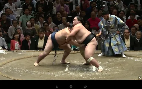 Grand Sumo screenshot 16