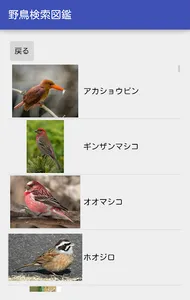 野鳥検索図鑑 screenshot 1